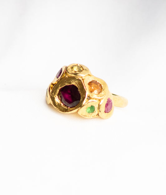 Rainbow Anenome Edition 2