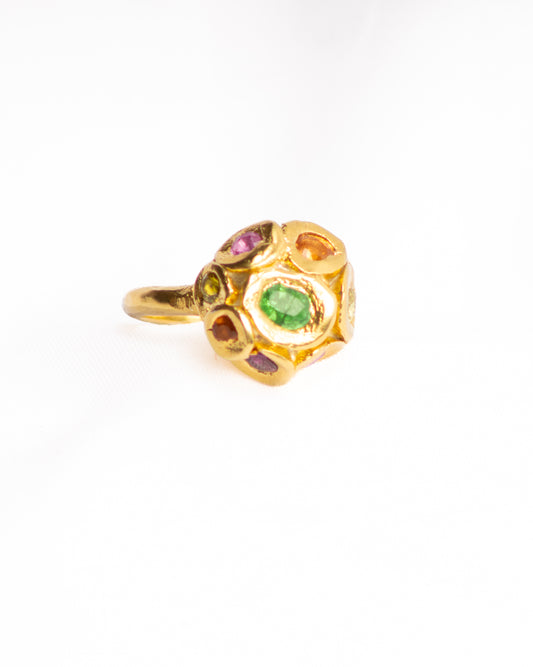 Rainbow Anenome Edition 3
