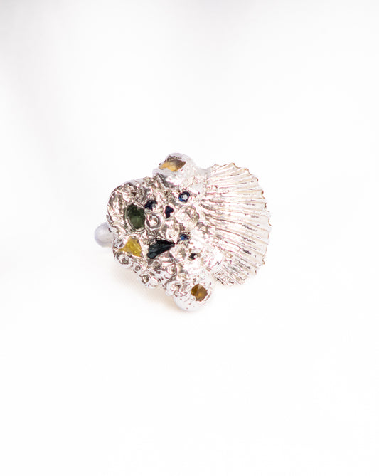 Sea Barnacles