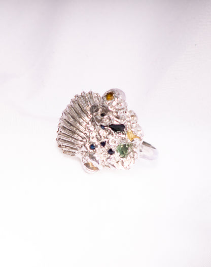 Sea Barnacles
