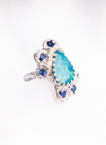 Ocean Treasure